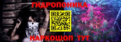 прущие крисы Лесосибирск